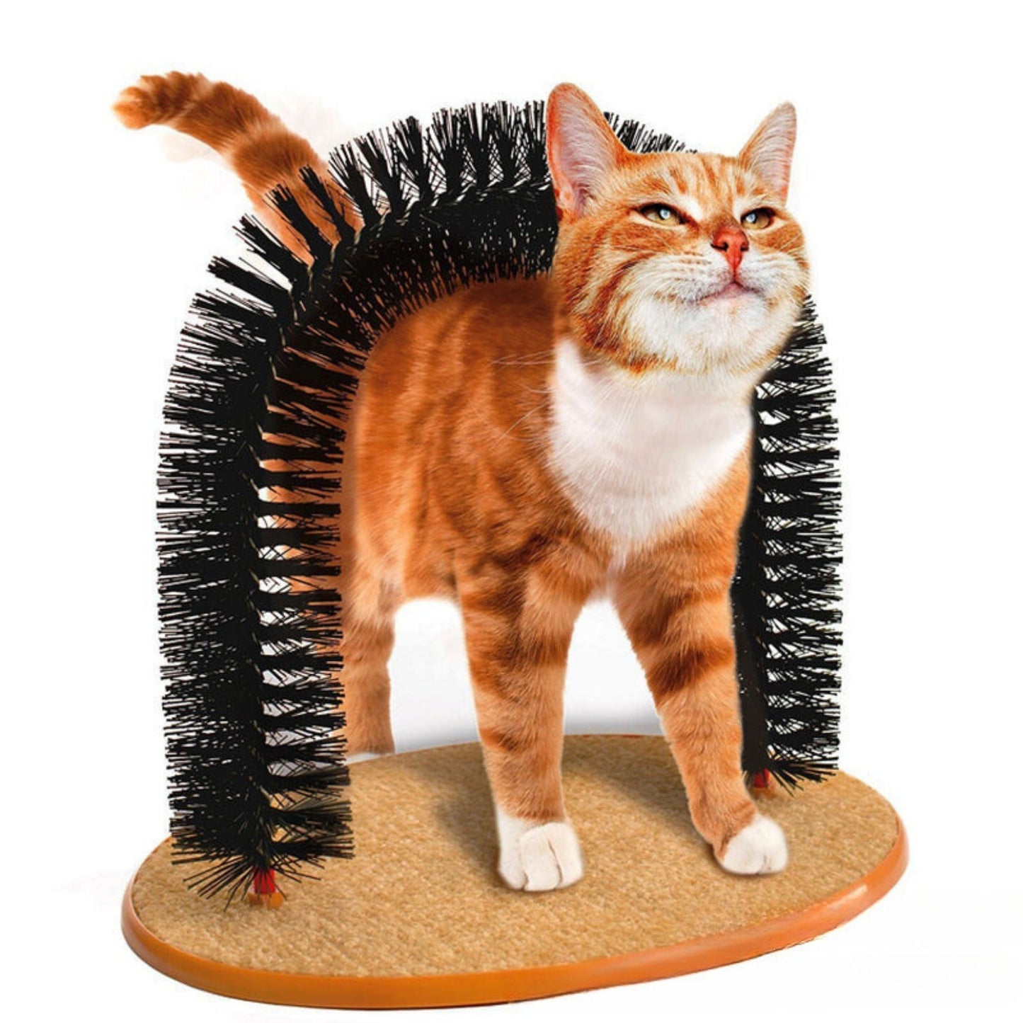 Rascador Gato
