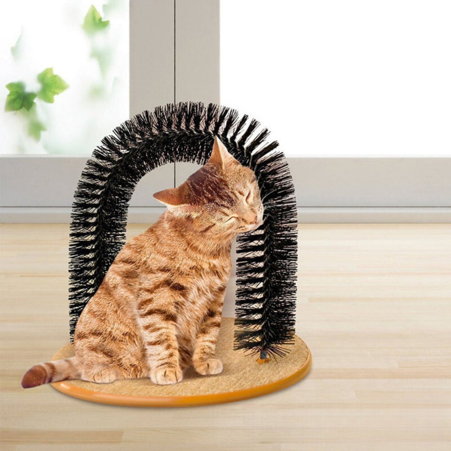 Rascador Gato